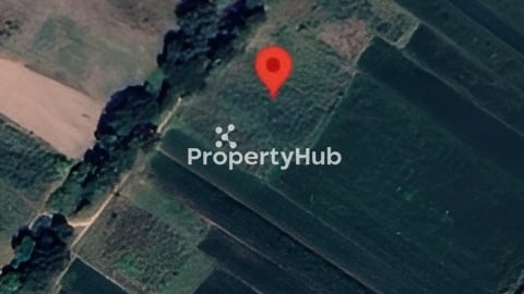 ដីសម្រាប់ជួលដាក់អង់តែនទូរស័ព្ទ