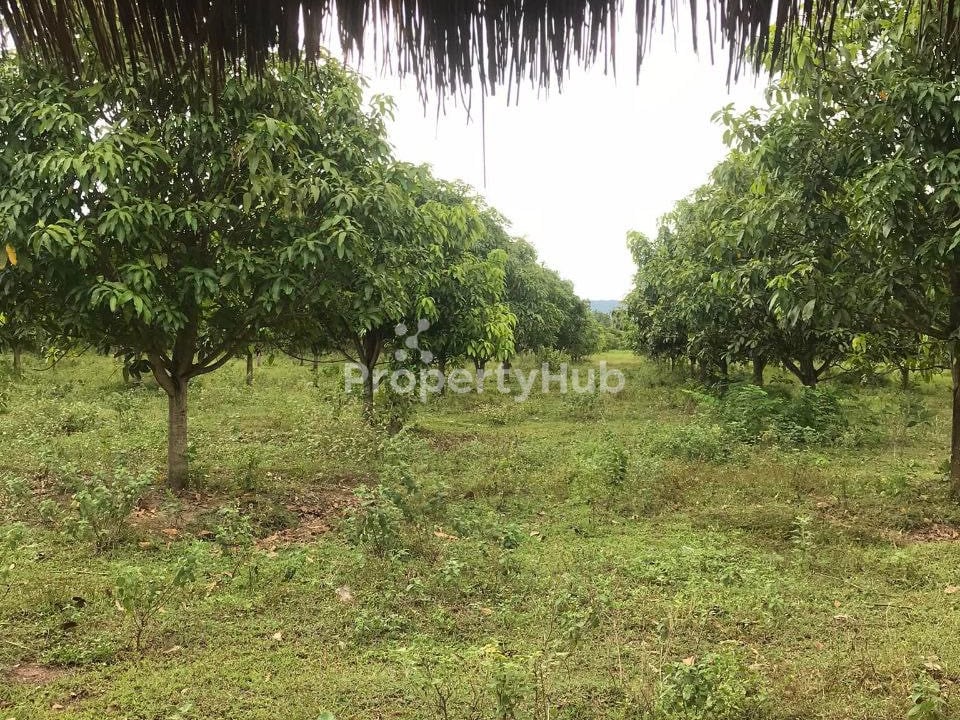 រូបភាពអចលនទ្រព្យទី 5