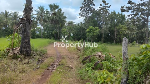 ដីសម្រាប់លក់