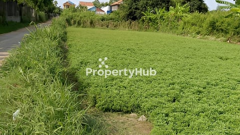 ដីលក់នៅកៀនស្វាយ