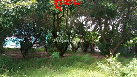 ដីសម្រាប់លក់