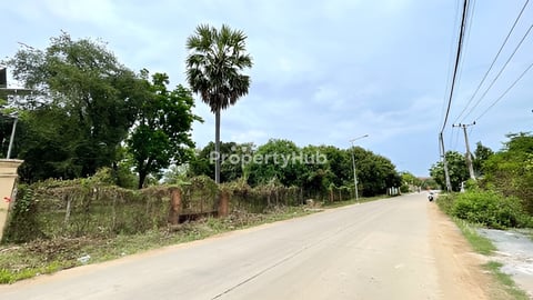 ដីលក់នៅវាលស្បូវ