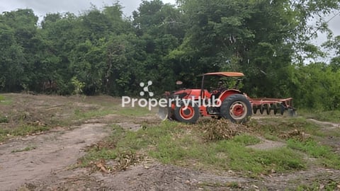 ដីលក់បន្ទាន់ 1,5ហិចតា តំលៃក្រោមទីផ្សារ 1ម៉ែត្រការ៉េ 25$ ប្លង់រឹង