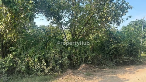ដីលក់ព្រែកអំពិល ទំហំ 17m x 100m
