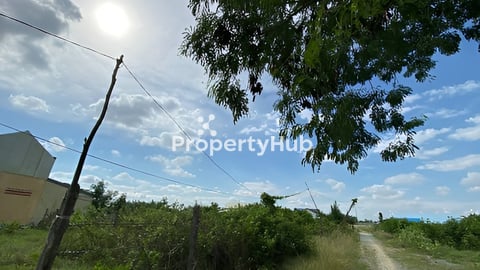 ដីលក់ប្រញាប់