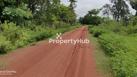 ដីចំការលក់ក្នុងភូមិ បើធ្វើផ្ទះត្រចៀកកាំរឺតតែល្អ