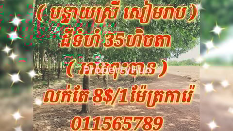 ដីលក់
