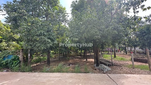 ដីលក់អរិយក្សត្រ ទំហំ 11m x 70m
