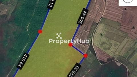 ដីលក់20ha តំលៃ2.5$/m2 នៅខេត្តកំពង់ស្ពឺ ជិតភ្នំឧរ៉ាល់ មានដំណាំស្វាយស្រាប់