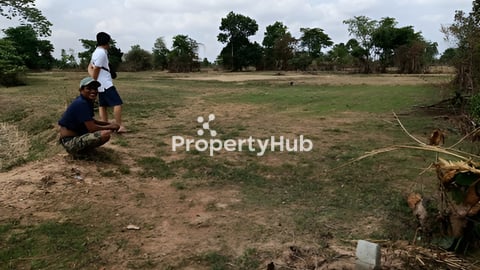 ដីលក់ប្រញ៉ាប់ កុនលុយខ្លាំង