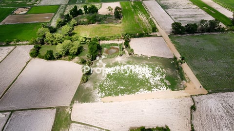 ដីនៅជិតផ្សារសំរ៉ោងយ៉ោង