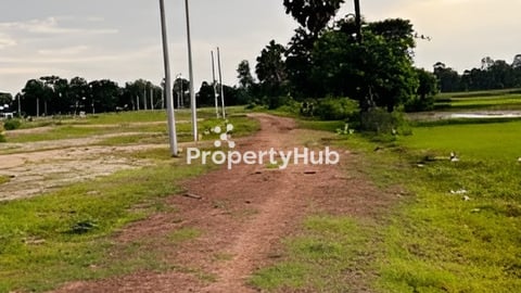 ដីស្រែលក់  ផ្លូវជាតិលេខ52 កាត់ប្លង់រឹងជូន