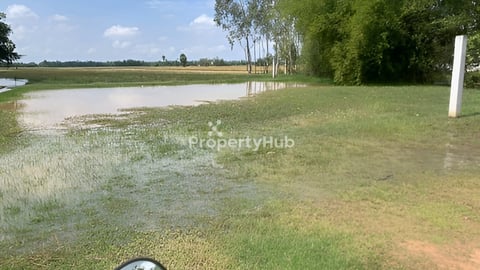 ដីលក់បន្ទាន់ ជាប់ផ្លូវធំ30m