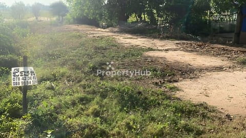 ជិតផ្សារបត់រំដួល (បន្ទាន់)