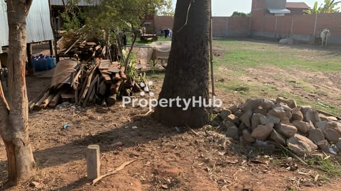 ដីលក់ រឺ ជួល