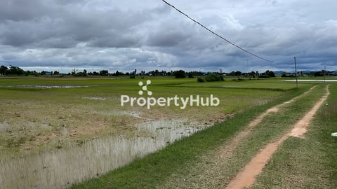 ដីស្រែ ជាប់ផ្លូវរទេះ​