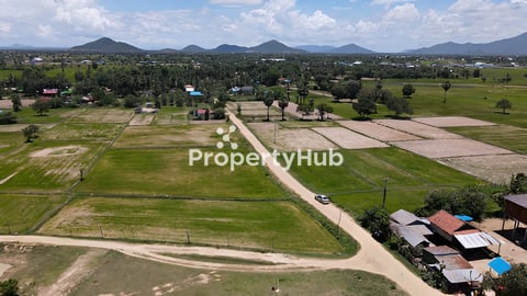 ដីស្រែម្ចាស់ខ្លួនឯងផ្ទាល់​ ប្លង់រឹង​ 25mx50m  ផ្លូវ30m ជិតផ្សារស្លាបលែង។