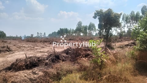 ដីស្រែលក់បន្ទាន់(សៀមរាប)