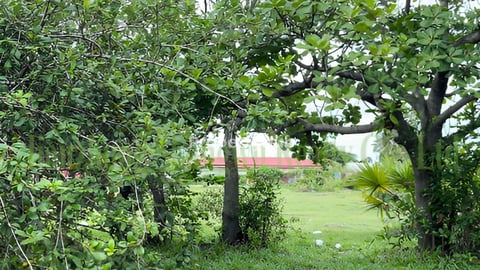 #ដីលក់សម្រាប់លក់ ខេត្តពោធិសាត់