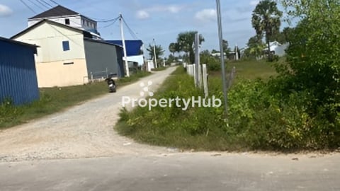 ដីឡូកប់ស្រូវជិតបឹងតាមោក20m*20m