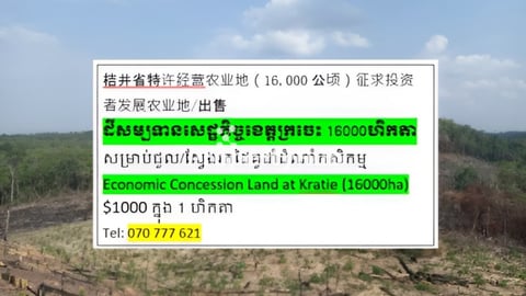 ស្វែងរកដៃគូដាំដំណាំកសិកម្មនៅដីខេត្តក្រចេះ 16000 ហិកតា