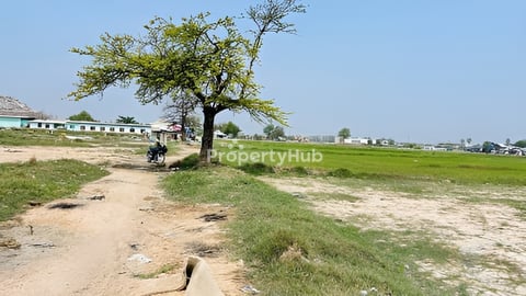 ដីលក់​បន្ទាន់​