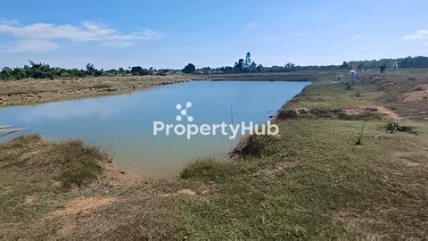 ដីលក់ ទំហំ 7ហិចតា