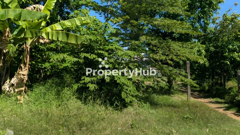 ដីកោះរះ ល្វាឯម