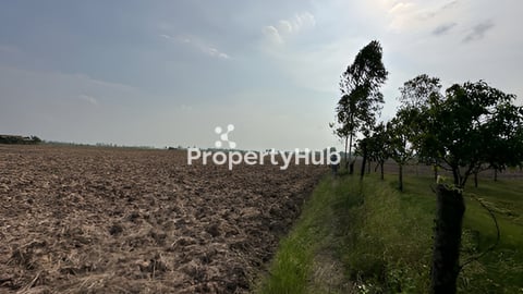 ដីស្រែ 1 ហិចតា ស្រុកលើកដែក បន្ទាន់ 5$