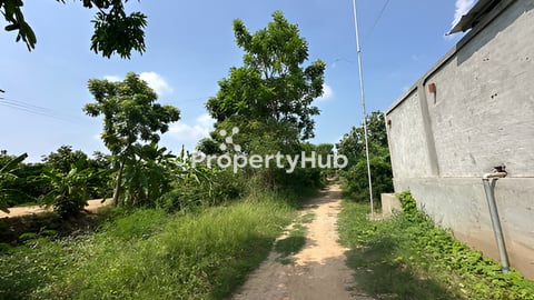 ដីលក់ឫជួល ស្រុកស្អាង ខេត្តកណ្តាល 12km ពីព្រលាន TIA 29$/m2