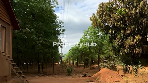 ក្បាល​ 100ម​ ជំរៅ60ម​ ជាប់ផ្លូវ​ 30ម ម្ចាស់ដេីម