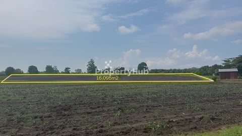 ដីលក់ច្រកឡែម កំរៀង