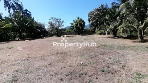 ដីក្រុងកំពត