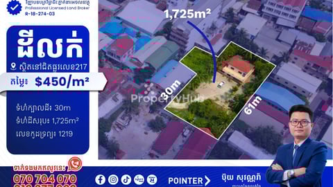 ដីលក់នៅជិតផ្លូវ217