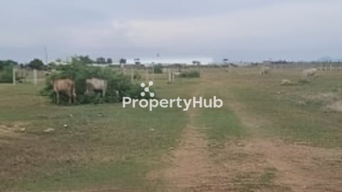 ដីលក់ ទំហំ 11 x 20