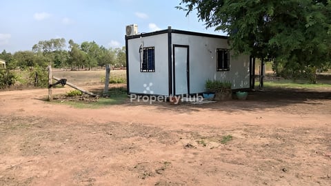 ដីចម្ការស្វាយលក់បន្ទាន់