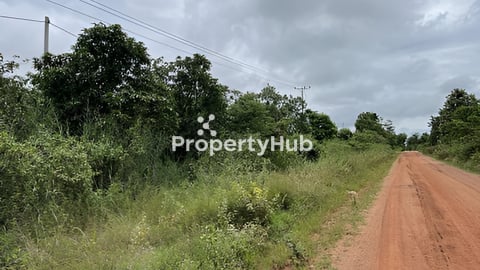 ចំការ​ស្វាយ​