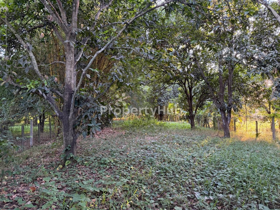 Property 4