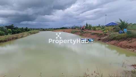 ដីចំការដូងក្រអូប 400ដេីម លក់បន្ទាន់