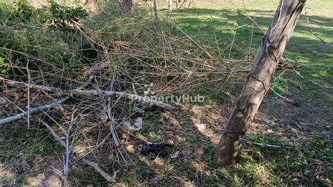 ដីលក់បន្ទាន់
