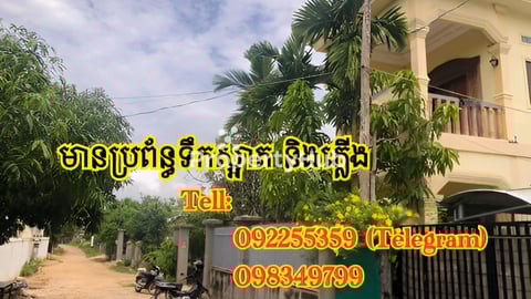 ផ្ទះវីឡាលក់