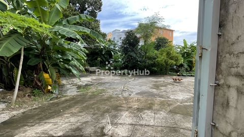 ដីលក់ ទំហំ (989 ម៉ែត្រការ៉េ) សម្រាប់លក់ត្រឹមតែ ១នាទី ពីសាលាសង្កាត់លេខ២ ខេត្តព្រះ