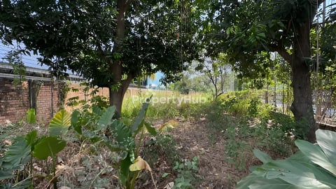 ដីលក់នៅព្រែកឯង