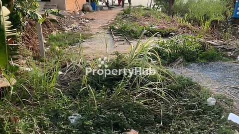 ដីលក់ធូរថ្លៃកន្ទុយជាប់ទន្លេ