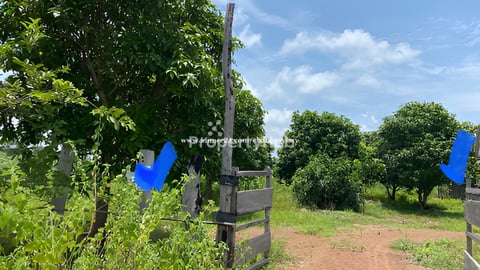 ដីលក់ជាប់ផ្លូវជាតិលេខ 67 ជិតទល់ដែនថៃតាមច្រកជាំ