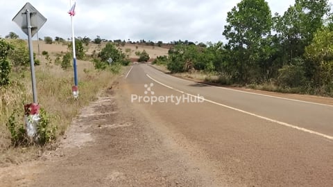 ដីលក់បន្ទាន់លុយខ្លាំង