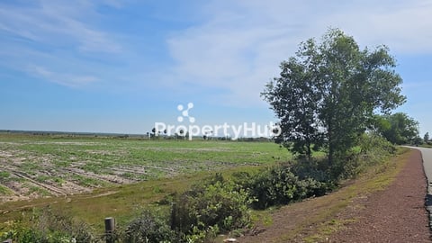 ដីលក់​ប្លង់រឹង​ ក្បាល់ធំ(500m)ជាប់ថ្នល់កៅស៊ូ 15m ​ចុះពីផ្លូវជាតិលេខ​ ៥​ ប្រហែល​ 