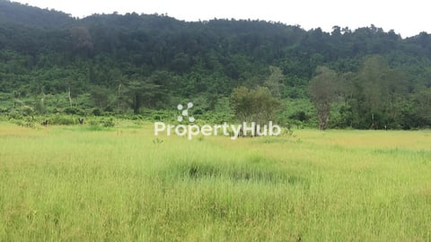 ដីលក់ជាប់ព្រែកតាតៃ