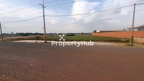 ដីលក់បន្ទាន់🔥🔥នៅជិតបុរីសៀងណាំ2 លើផ្លូវកៅស៊ូ30m