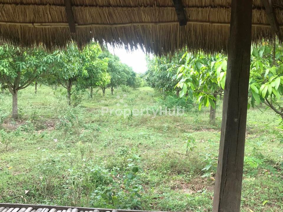 រូបភាពអចលនទ្រព្យទី 2